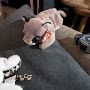 1998 original Beanie Baby Canyon vintage mint condition never played with